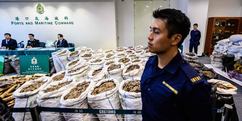 ჰონგ კონგში, საზღვარზე პანგოლინის ბაკნებით ვაჭრობა შეაჩერეს