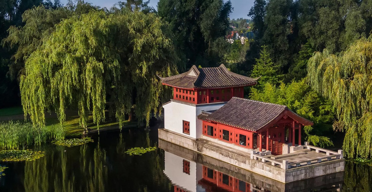 ჩინური ბაღი