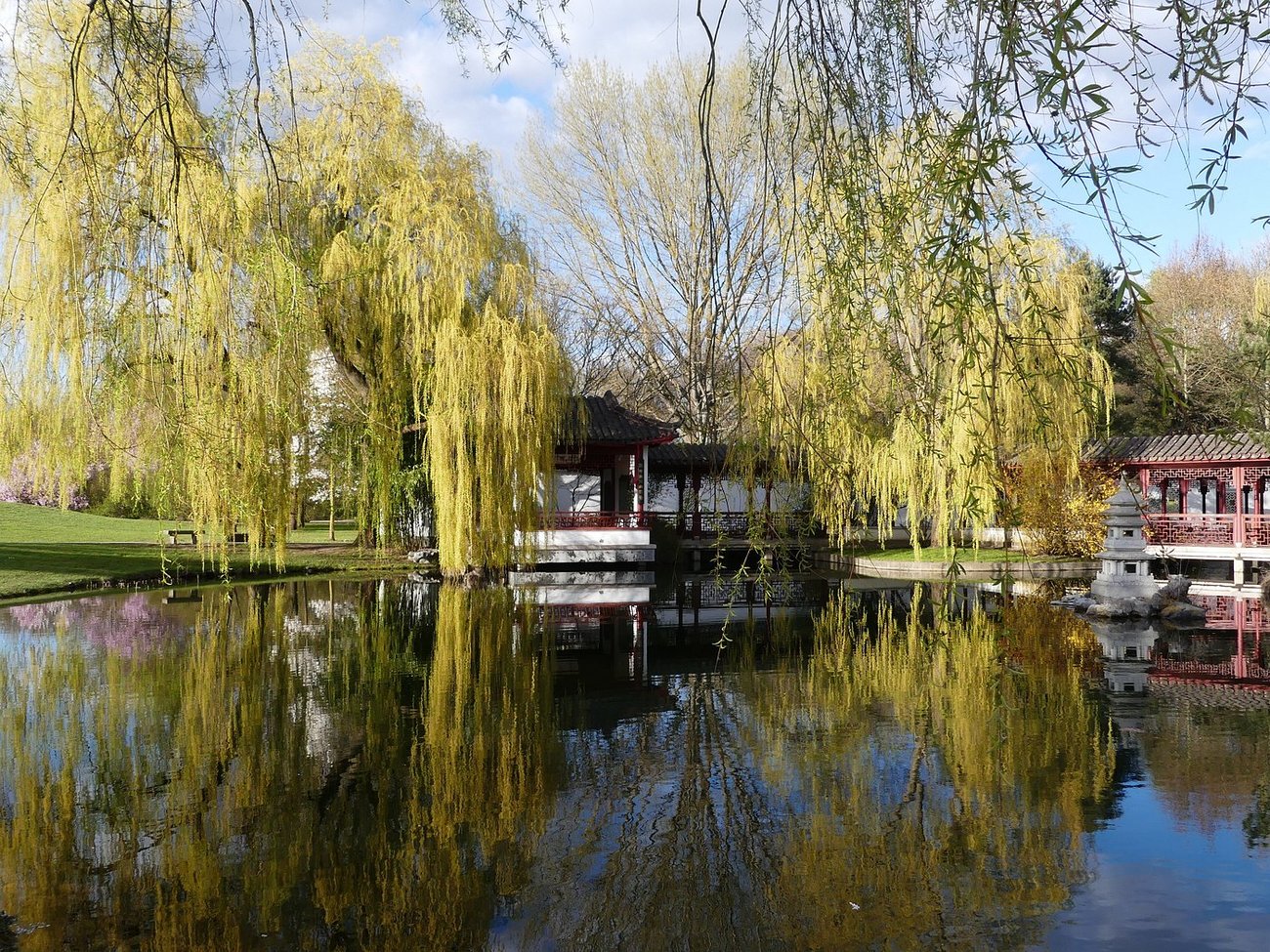 ჩინური ბაღი