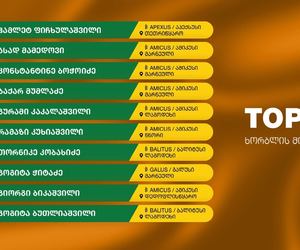 ტოპ 10 ქართველი ფერმერი, რომლებმაც 2025 წელს ხორბლის ყველაზე მაღალი მოსავალი მოიყვანეს