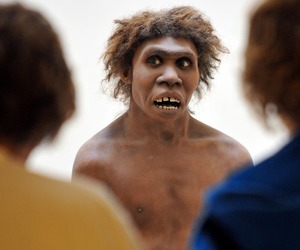 ნეანდერტალელები არ გადაშენდნენ, ისინი ჰომო საპიენსის ნაწილი გახდნენ — ახალი კვლევა